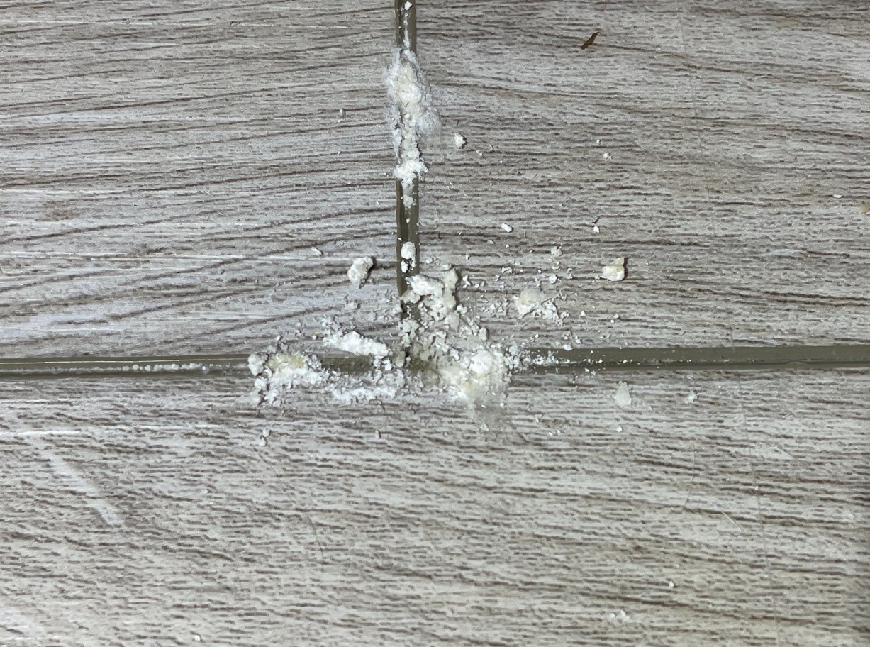 Efflorescense Photo 1 - LVT