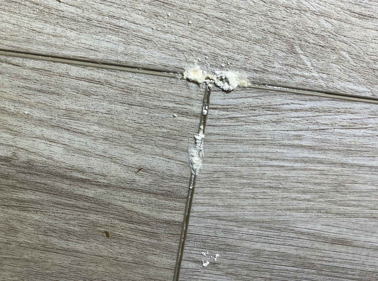 Efflorescense Photo 2 - LVT