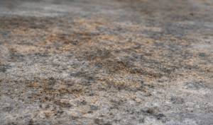 Old Carpet Adhesive Residue