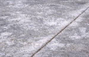 Efflorescense Photo 10