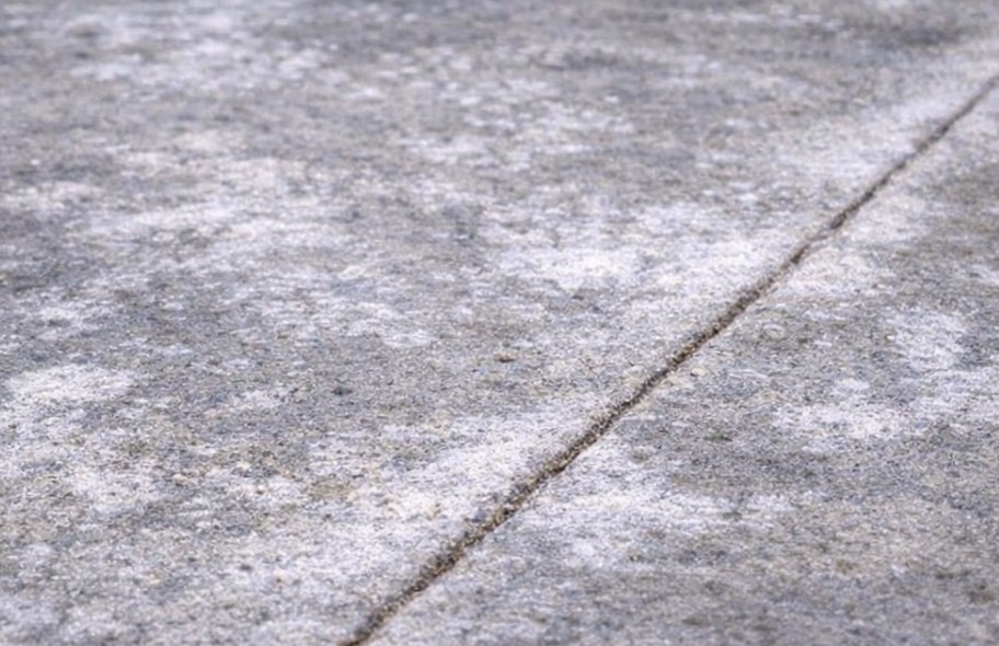 Efflorescense Photo 10