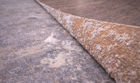 Concrete surface contamination 2