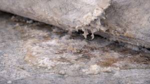 Moisture vapor 4.- chat gtp