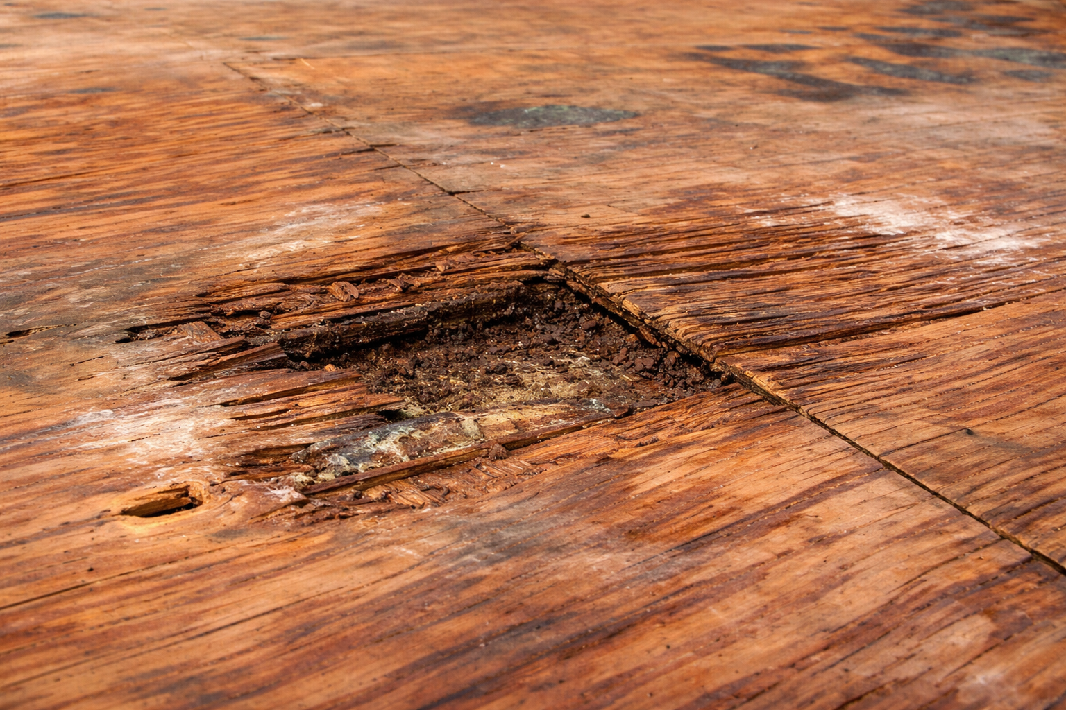wood-decay-hardwood-floor-small-area-2-inch - 2