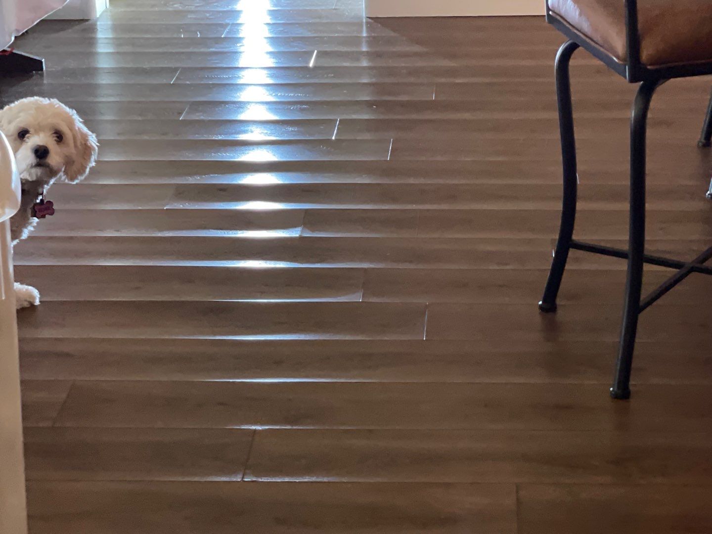 lvt-spc-floor-curling-edge-lift