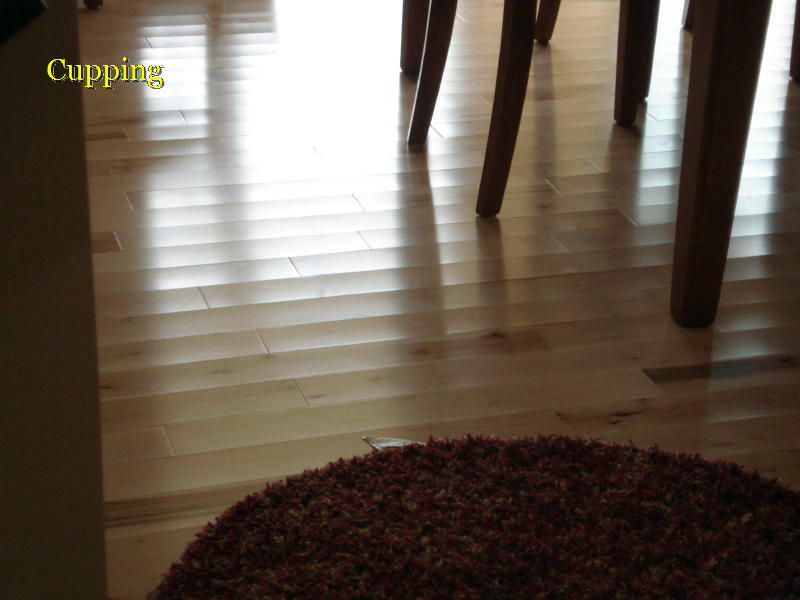 Hardwood Floor Problems