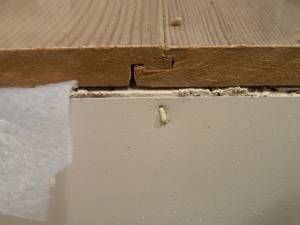 Laminate flooring showing swelling, joint stress, peaking, and floating-floor movement conditions