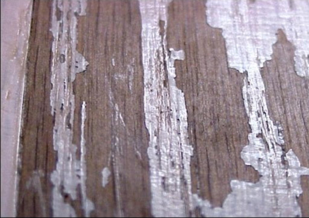 Laminate - Chair Protectors 42355 (2)